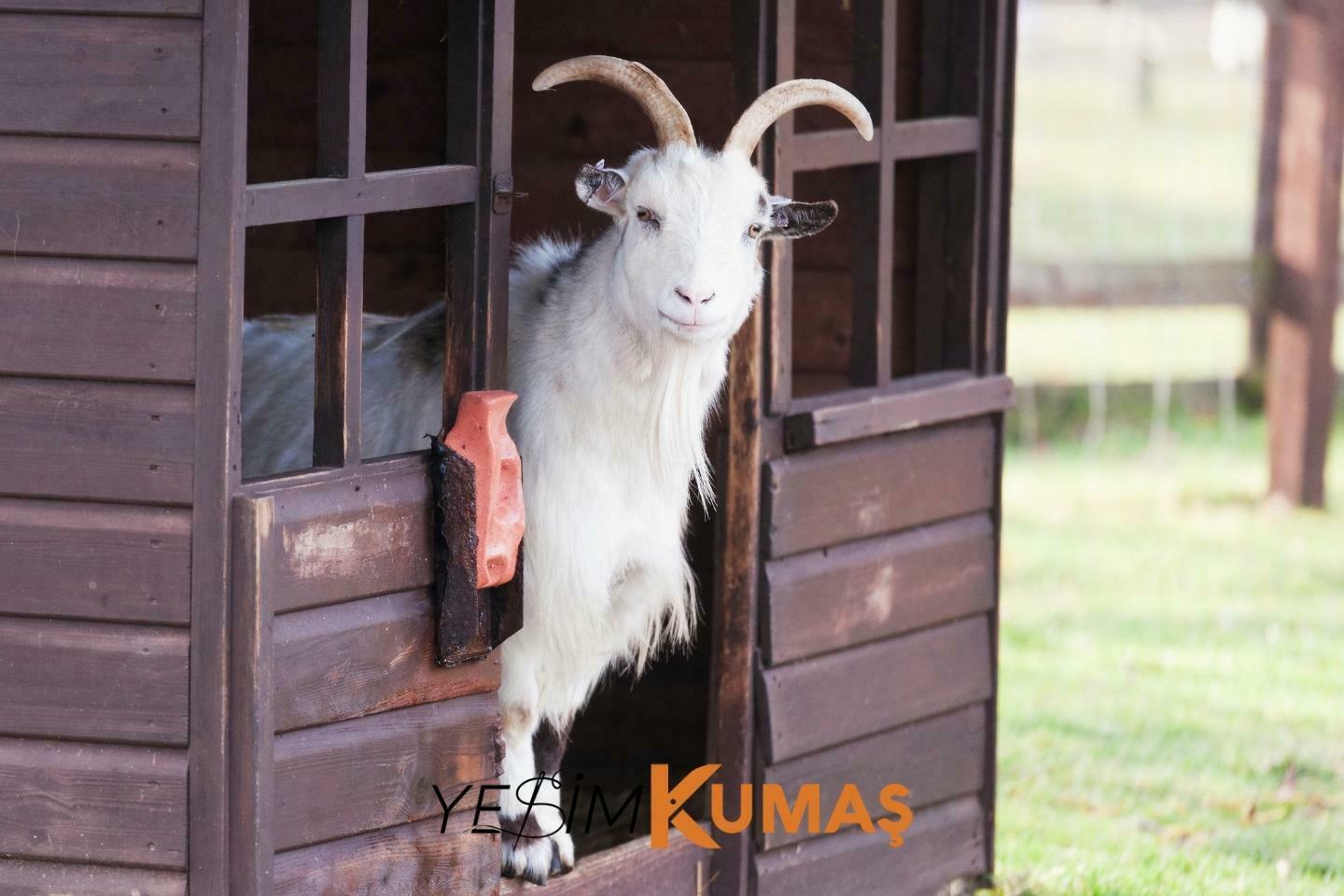 kasmir-kumas-3